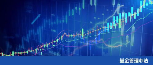 上海黄浦区政府投资基金管理办法发布 赋能区域经济高质量发展的新引擎